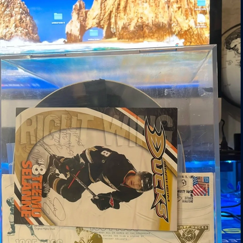 NHL unique hockey